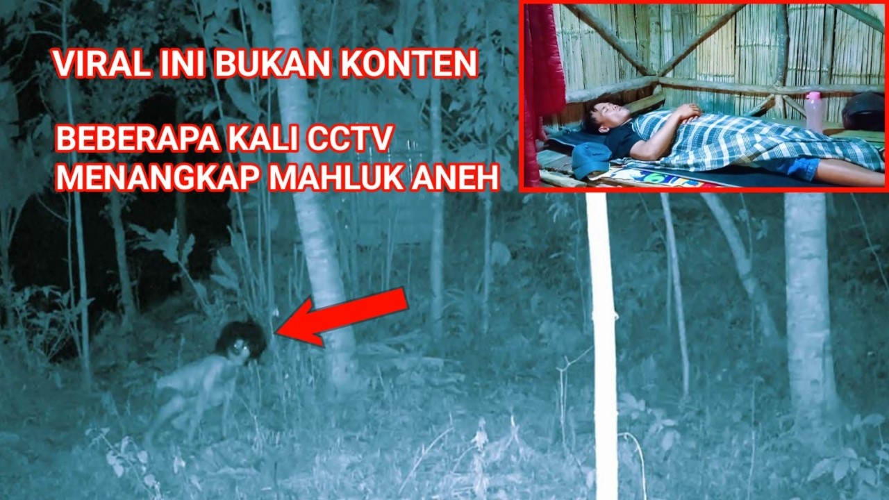 CAMPING HOROR INI BUKAN KONTEN BEBERAPA KALI CCTV MENANGKAP MAHLUK ANEH