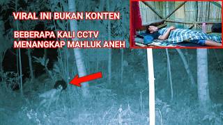 CAMPING HOROR INI BUKAN KONTEN BEBERAPA KALI CCTV MENANGKAP MAHLUK ANEH