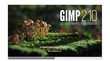 Gimp: interfaccia e selezioni