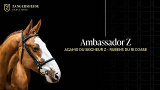 Ambassador Z-Zangersheide Hengstpräsentation 2026 ( GER )