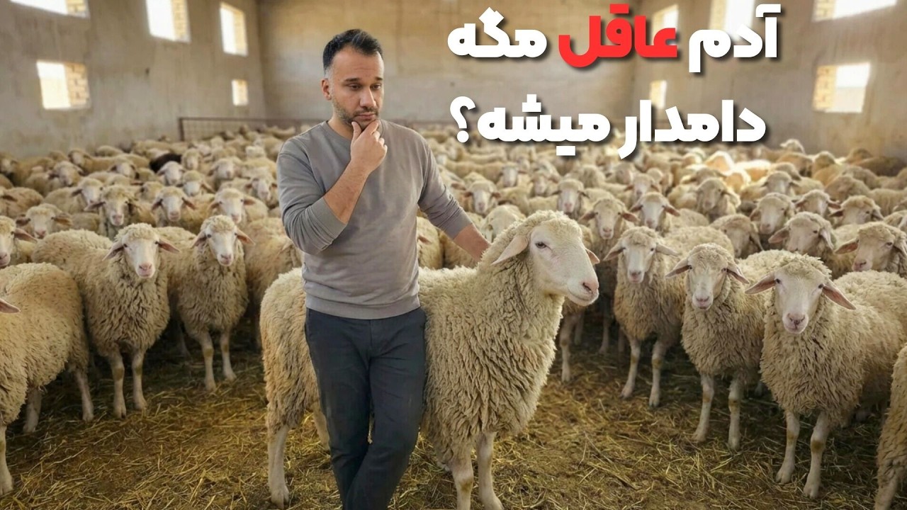 آدم عاقل مگه دامدار میشه ؟ دلیل اینکه با این شرایط دامداری می کنیم چیه؟