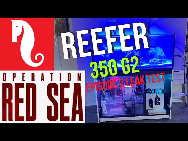 RedSea Reefer 350 G2 Ep. 2 - YouTube