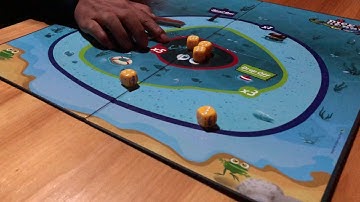 Dice Derbi HIGH SCORE 2018