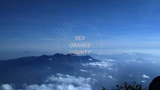 REX ORANGE COUNTY - LOVING IS EASY ( KOPLO )