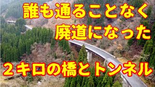 Япония[Заброшенная дорога]Дорога, которая не использовалась в течение 15 лет с момента ее завершения