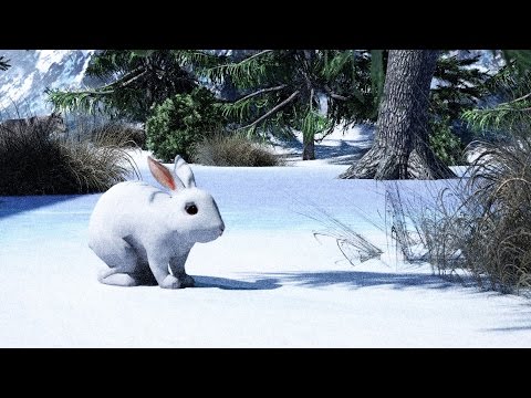Как заяц зимой живет? Детям про животных.