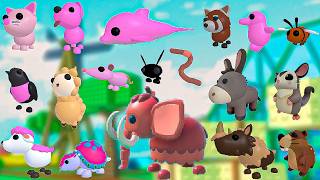Find the Animals에서 20가지 새로운 동물 모두 찾는 방법 🦝🐱🐮🦒🐢🐘🐶 Roblox screenshot 2