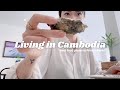 Living in cambodia  food trip in phnom penh bubus birt.ay  get ready with me for work