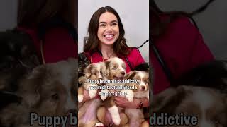 Thinking about a career in vet med? Beware… it’s a rough life