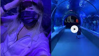 Mihre Çelikkol Ve Oğlu Ali Bebek Baliklari Görmeye Gittiler Magazindunyasi1008
