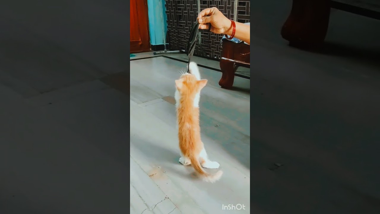 playing with mask😂