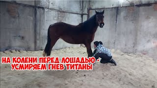 Титана: работа со сложной лошадью