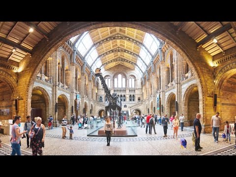 Vidéo: Qu'est-ce Qu'un Musée