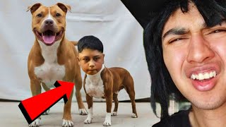 Cachetes Hijo De P3Rr Criminales Estúpidos 2