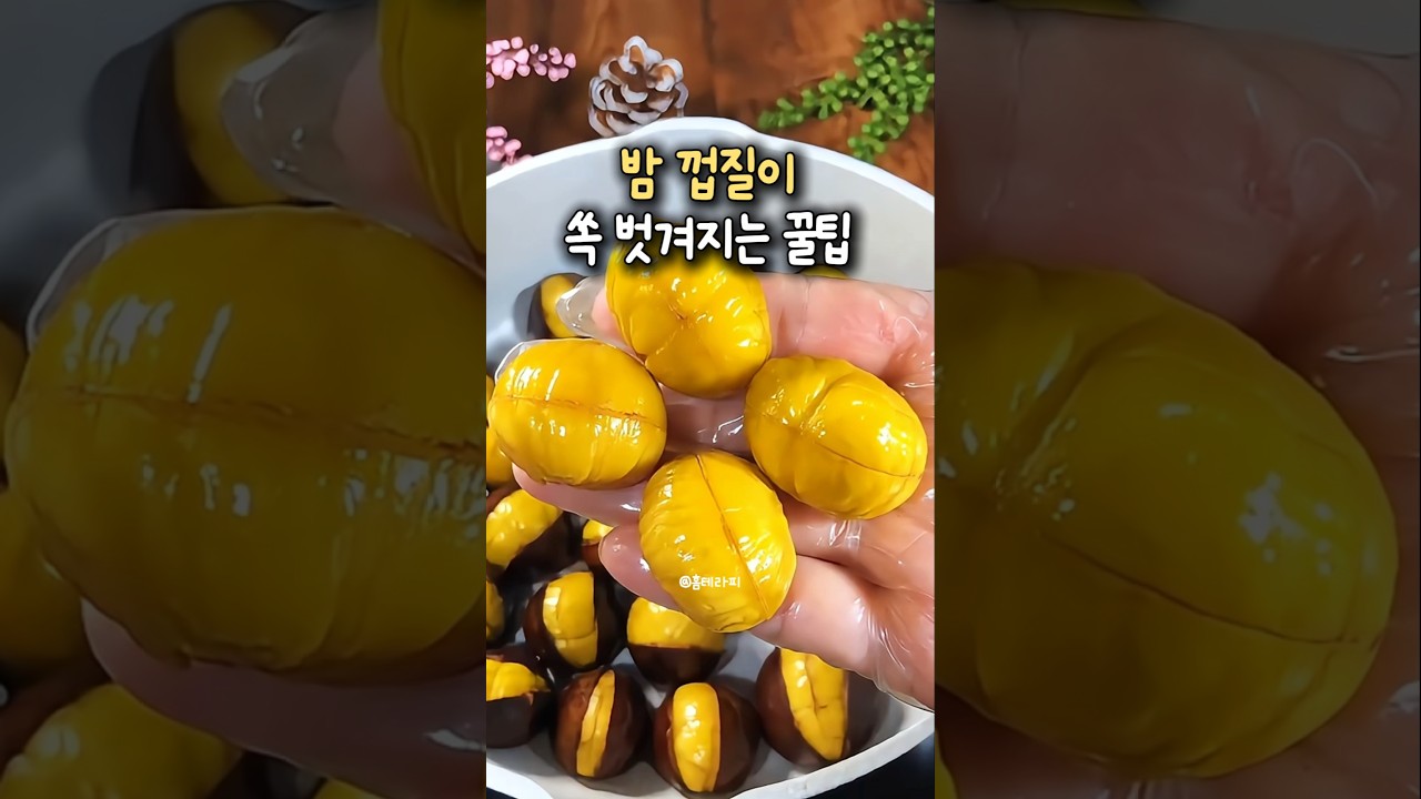 밤 껍질 1초 만에 쏙 벗겨지는 손쉬운 밤 삶는 법! — 홈테라피 주방이야기 레시피 썸네일