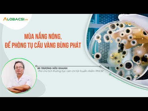 Video: Tụ cầu vàng - nó là gì, điều trị