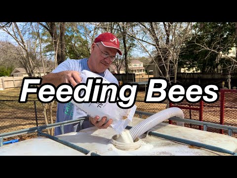 EASY Way to FEED  BEES | Our Pump System