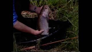 Go Fishing John Wilson Trout Series 1 Episode 2