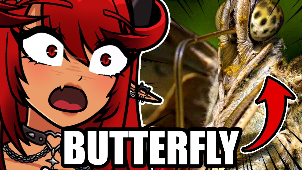 BUTTERFLIES ARE TERRIFYING!! 😨 (Casual Geography Reaction)