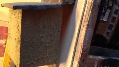 Project Nestbox new tree creeper box