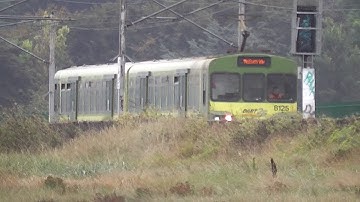 IE 8100 Class Dart Train number 8125 - Booterstown Coast, Dublin