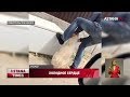 Живодер задушил собаку в Атырауской области