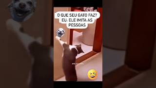 O que seu Gato Faz ?