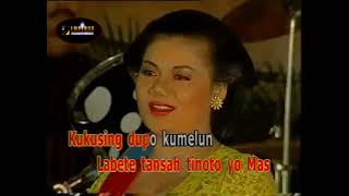 Download Lagu Kijing Miring - (Campursari Jawa) : Titiek Hayuti [Putri Record] MP3