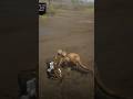 R39 simulate survival skill in rdr2