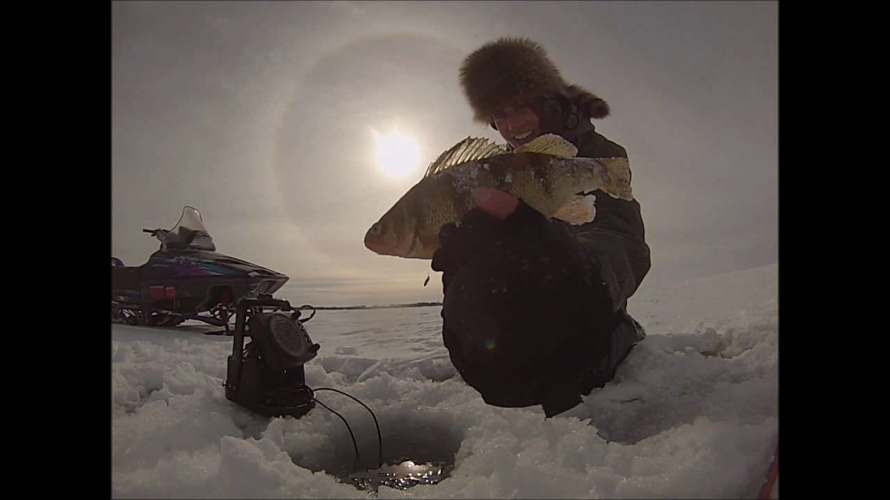 Sturgeon Bay Whitefish/Perch Fishing