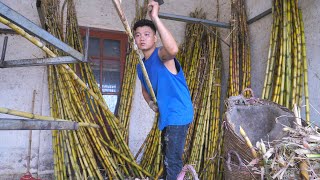 The process of squeezing sugarcane juice! Nature's Taste Sugarcane Juice / vietnamese street food