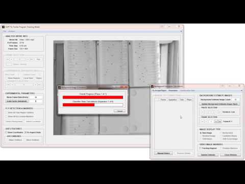 3   Background Estimation