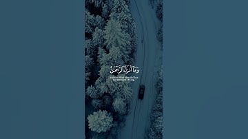 ﴿قالوا ما أنتم إلا بشر مثلنا وما أنزل الرحمن من شيء إن أنتم إلا تكذبون﴾سورة يس علي جابر