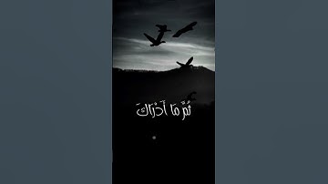 وَمَا أَدْرَاكَ مَا يَوْمُ الدِّينِ (17) سورة الإنفطار #المنشاوي