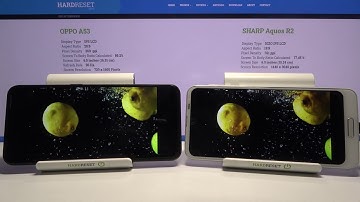 Display Comparison between OPPO A53 2020 & SHARP Aquos R2 | Screen TEST