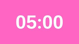 5 Minute Timer - 300 Second Countdown