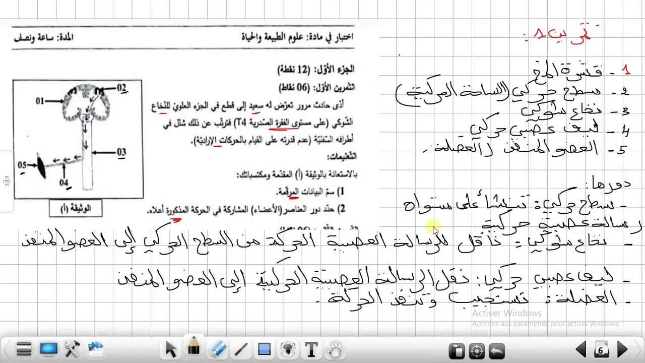 تمارين حول الاتصال العصبي علوم طبيعية السنة الرابعة متوسط