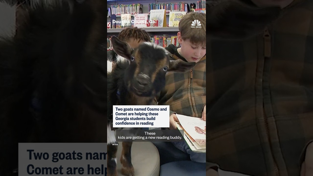 Goats named Cosmo and Comet help kids learn how to read