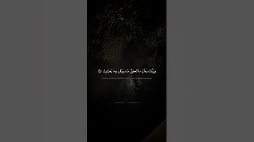 سُبحانَ اللَّهِ وَتَعالى عَمّا يُشرِكونَ | محمد صديق المنشاوي | سورة القصص
