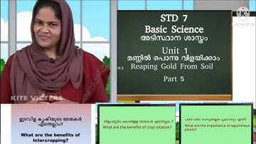 ARS VISION KITEVICTERS STD 7 BASIC SCIENCE CLASS 07 PART 5 WORKSHEET 28/07/21