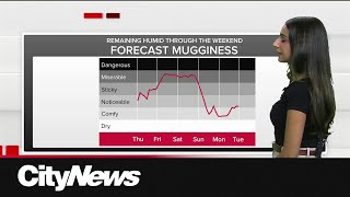 Rain returns Friday and the weekend