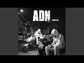 ADN (FreeStyle)