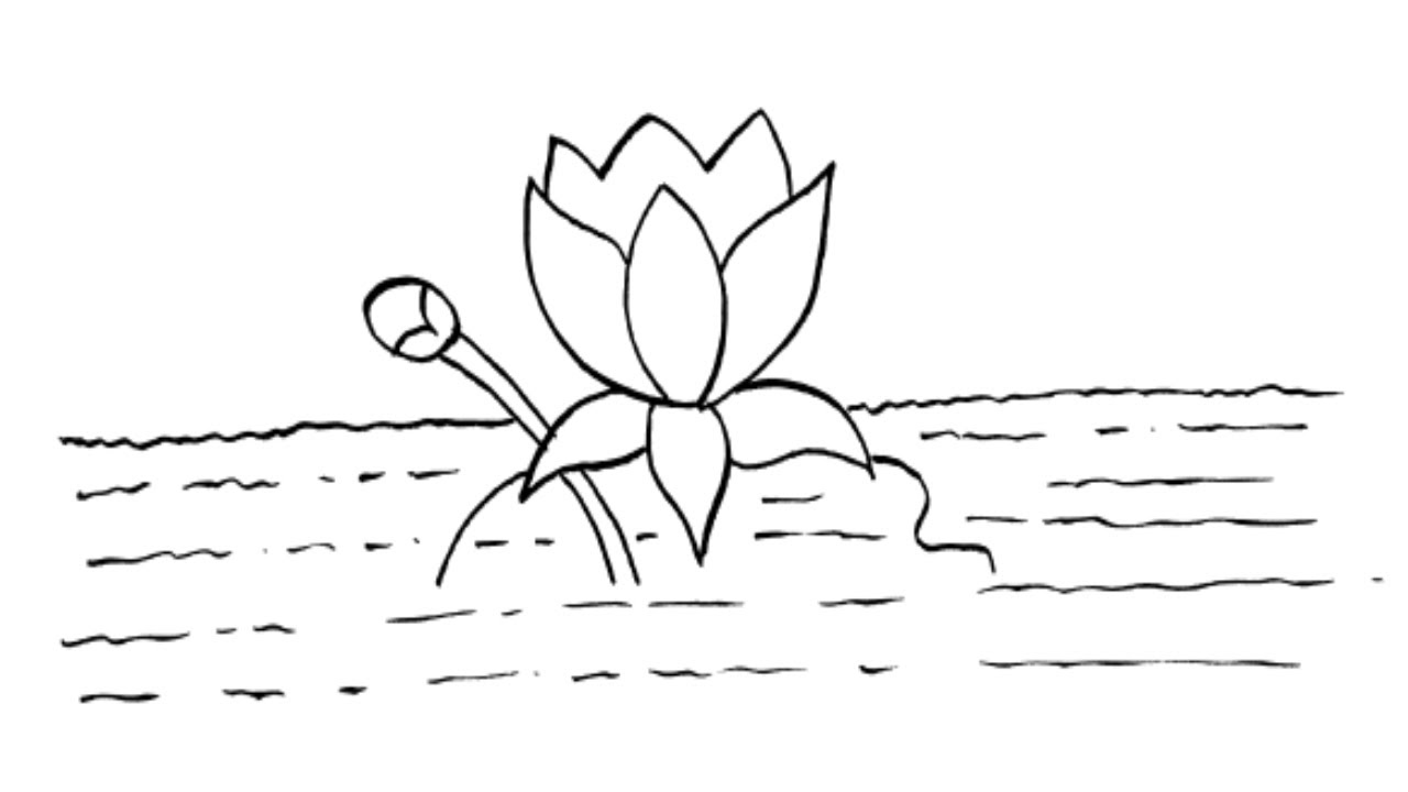 How to draw Lotus flower in Water Step by Step Easily YouTube