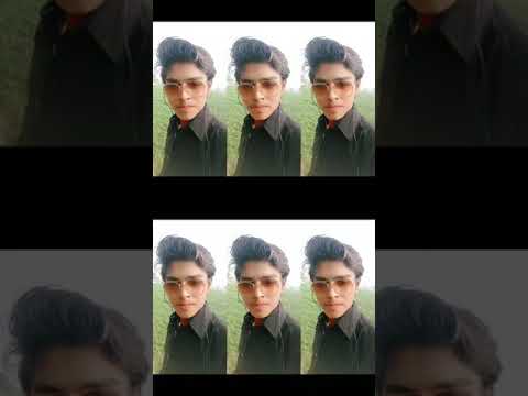 Shafiq Mayo Tik Tok