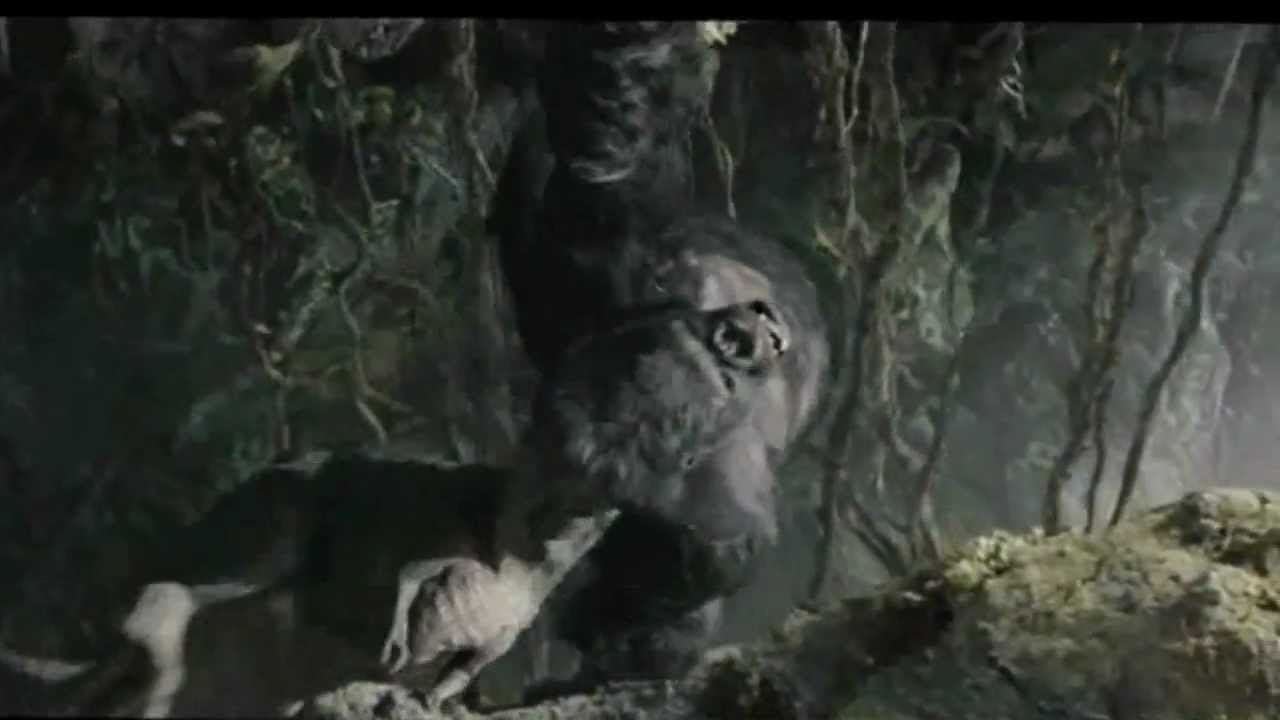 King Kong (2005) Battles The TRexes [HD] YouTube