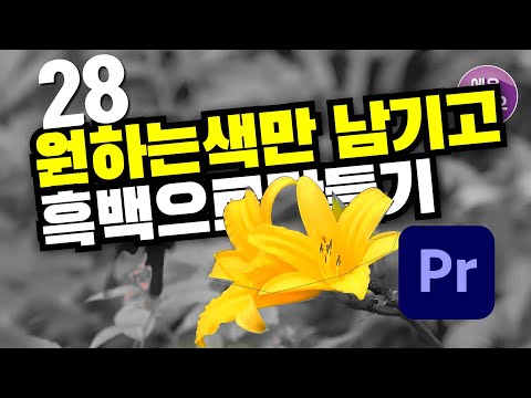프리미어프로강좌_원하는색만남기고 흑백으로만들기