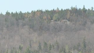 Fire that burned 48 acres in NH s White Mountain National Forest is 85 contained
