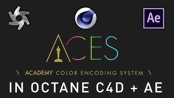 Silverwing Quick Tip: ACES in Octane C4D and After Effects