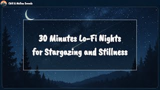 Dreamy Night Lo Fi 30 Minutes Lo Fi Nights For Stargazing And Stillness