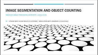 Image Segmentation and Object Counting